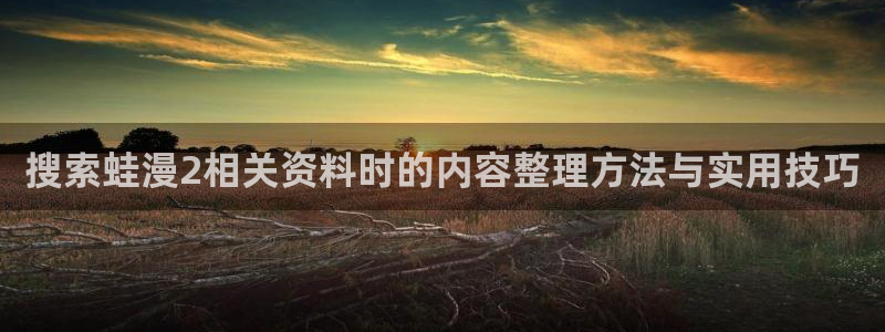 梦漫漫画完结漫画：搜索蛙漫2相关资料时的内容整理方法与实用技巧